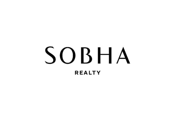 developer